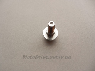 Болт штока вилки Дельта, Альфа.