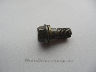 Болт гальмівної системи M10.