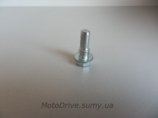 Болт кріплення гумового ролика Дельта, Альфа, Актив, Спорт.