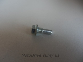 Болт кріплення гумового ролика Дельта, Альфа, Актив, Спорт.