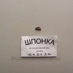 Шпонка колінвала Д6, Д8 (10х2.5х3.1мм).