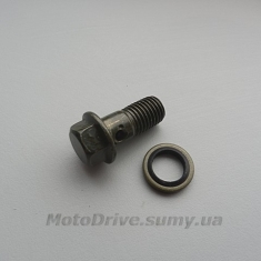 Болт гальмівної системи M10.