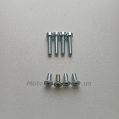 Набір болтів підкови + кришки сальника Д6, Д8 (8 шт., під шестигранник).