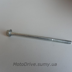 Болт кріплення кришки розподільного валу Дельта (довгий).