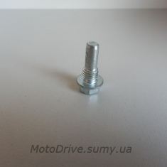 Болт кріплення гумового ролика Дельта, Альфа, Актив, Спорт.