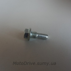 Болт кріплення гумового ролика Дельта, Альфа, Актив, Спорт.