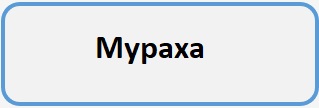 Мурах